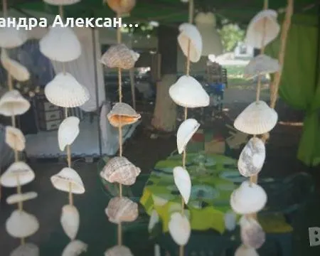 Caravan Aleks